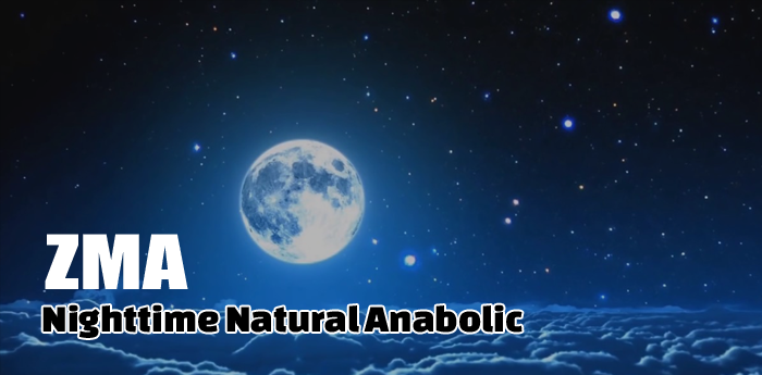 ZMA - Zinc, Magnesium & Vitamin B6